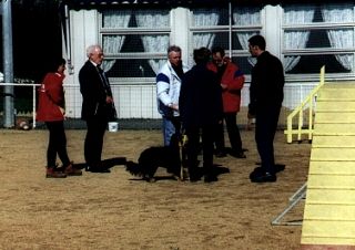 Stage de monitorat Agility - Atelier extrieur